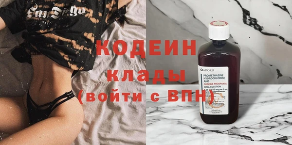 шишки Тутаев