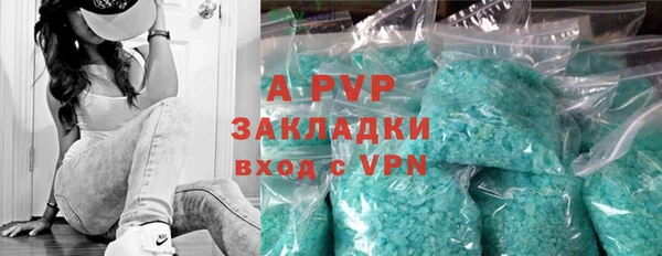 шишки Тутаев