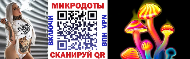 купить  сайты  Оренбург  Псилоцибиновые грибы Psilocybe 